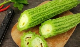 吃瓜娱乐场,吃瓜群众的狂欢盛宴